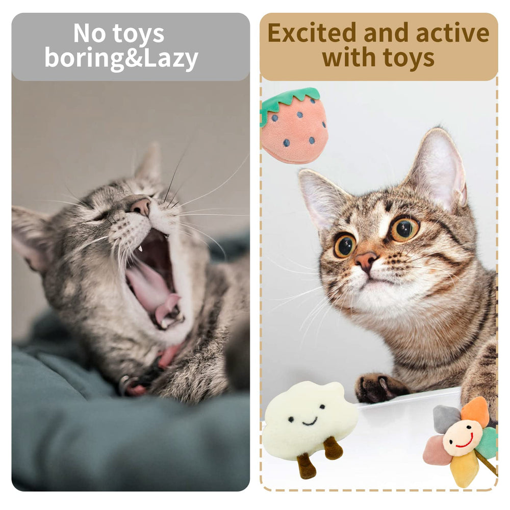 CKFPS indoor-cat design emphasizes compact, apartment-friendly play