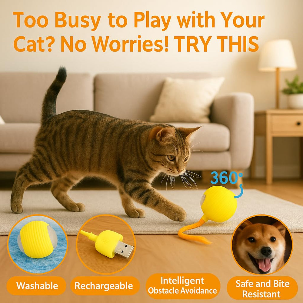 CKFPS rechargeable USB-C cat toy keeps charging ready for daily use