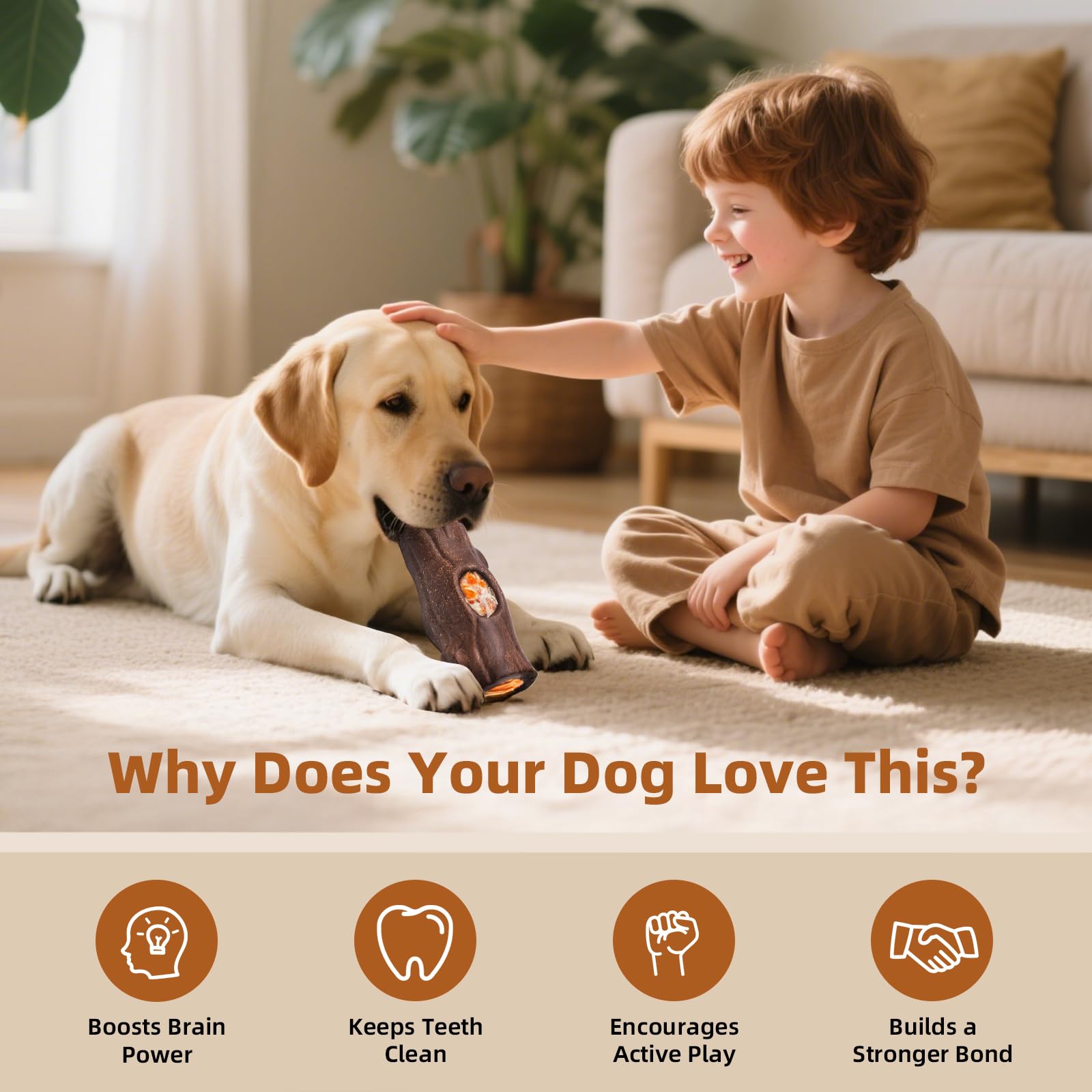 ClariVora coffee wood fiber durability highlights robust materials for durable play.