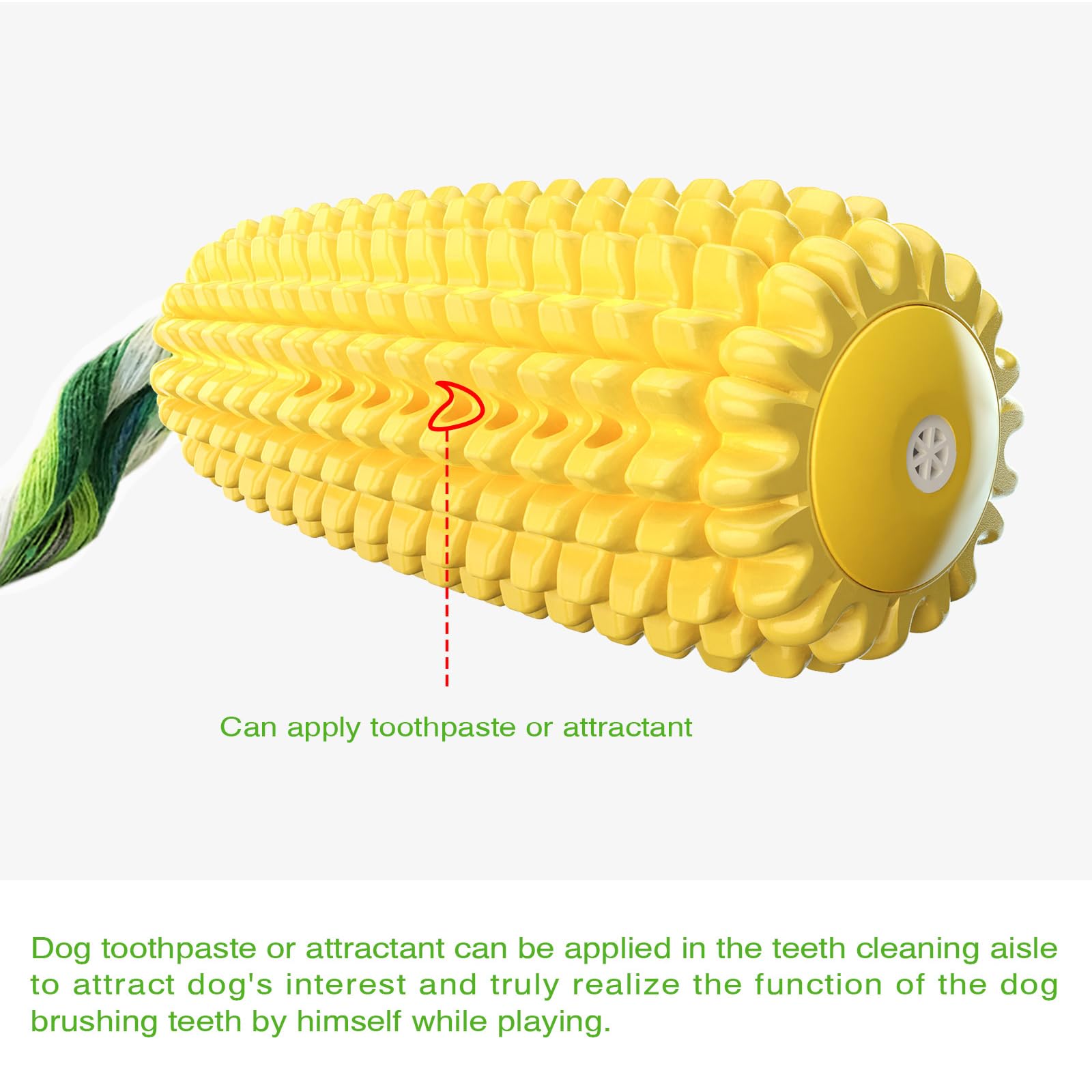 ClariVora durable rubber construction supports long-lasting chew sessions.