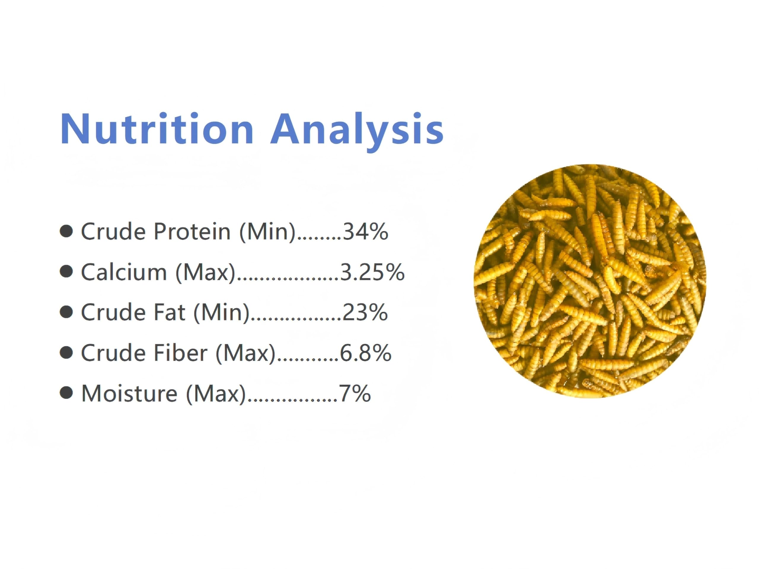 Classic Flock BSF larvae closeup dried natural protein source for poultry.