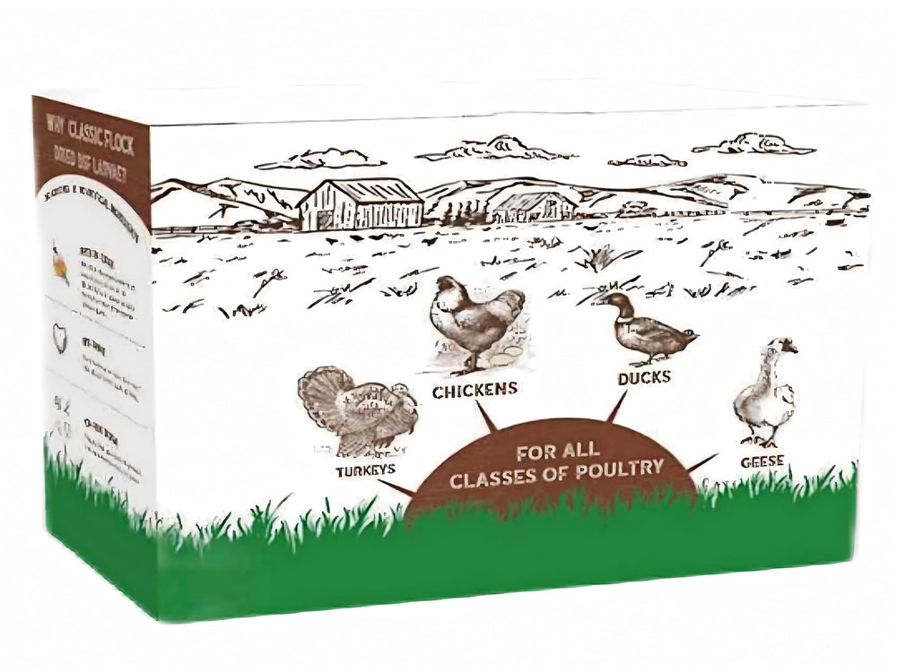 Classic Flock eco-friendly BSF larvae sustainable feed reduces waste.