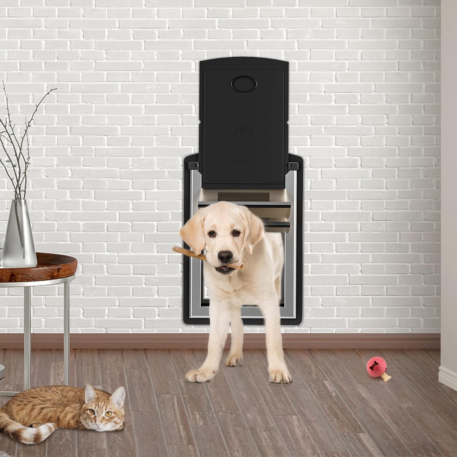 ClawJaw cat door easy-access design supports pets independent at home movement.