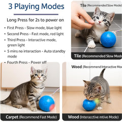 Clawped TPU reinforced construction signals durable, long-lasting play for active felines.