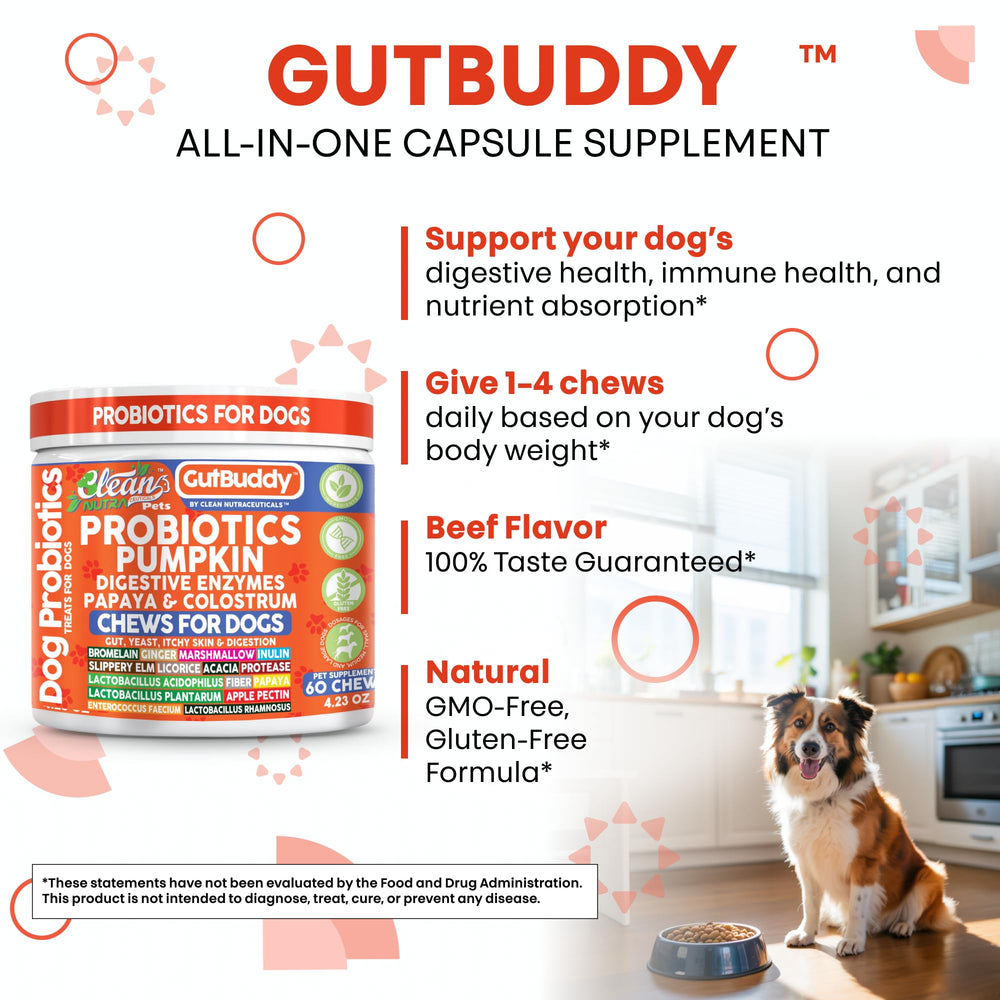 Clean Nutraceuticals beef-flavor digestive-enzyme chew aids breakdown