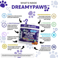 Clean Pets Dreamy Paws dog sleep scene after chew