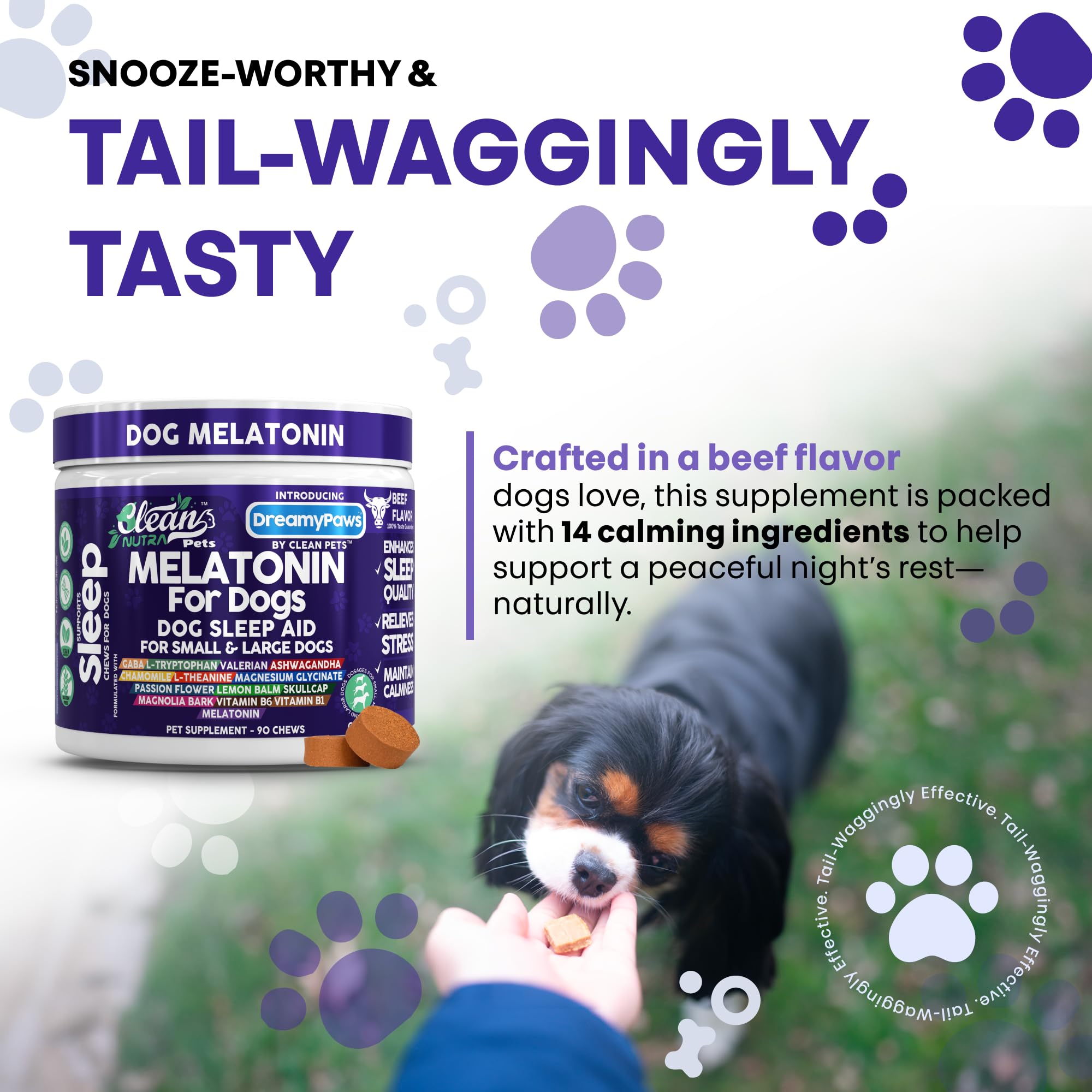 Clean Pets Dreamy Paws ingredients like apple and flaxseed appeal to picky dogs