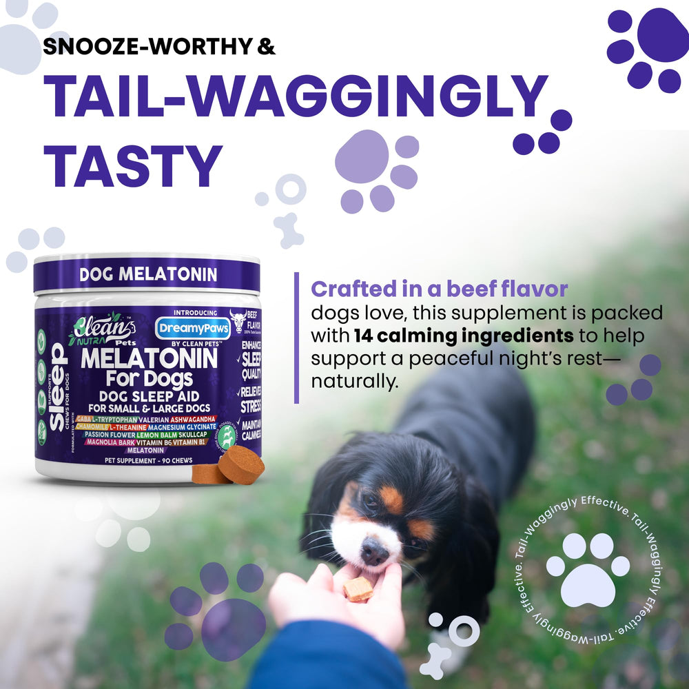 Clean Pets Dreamy Paws ingredients like apple and flaxseed appeal to picky dogs