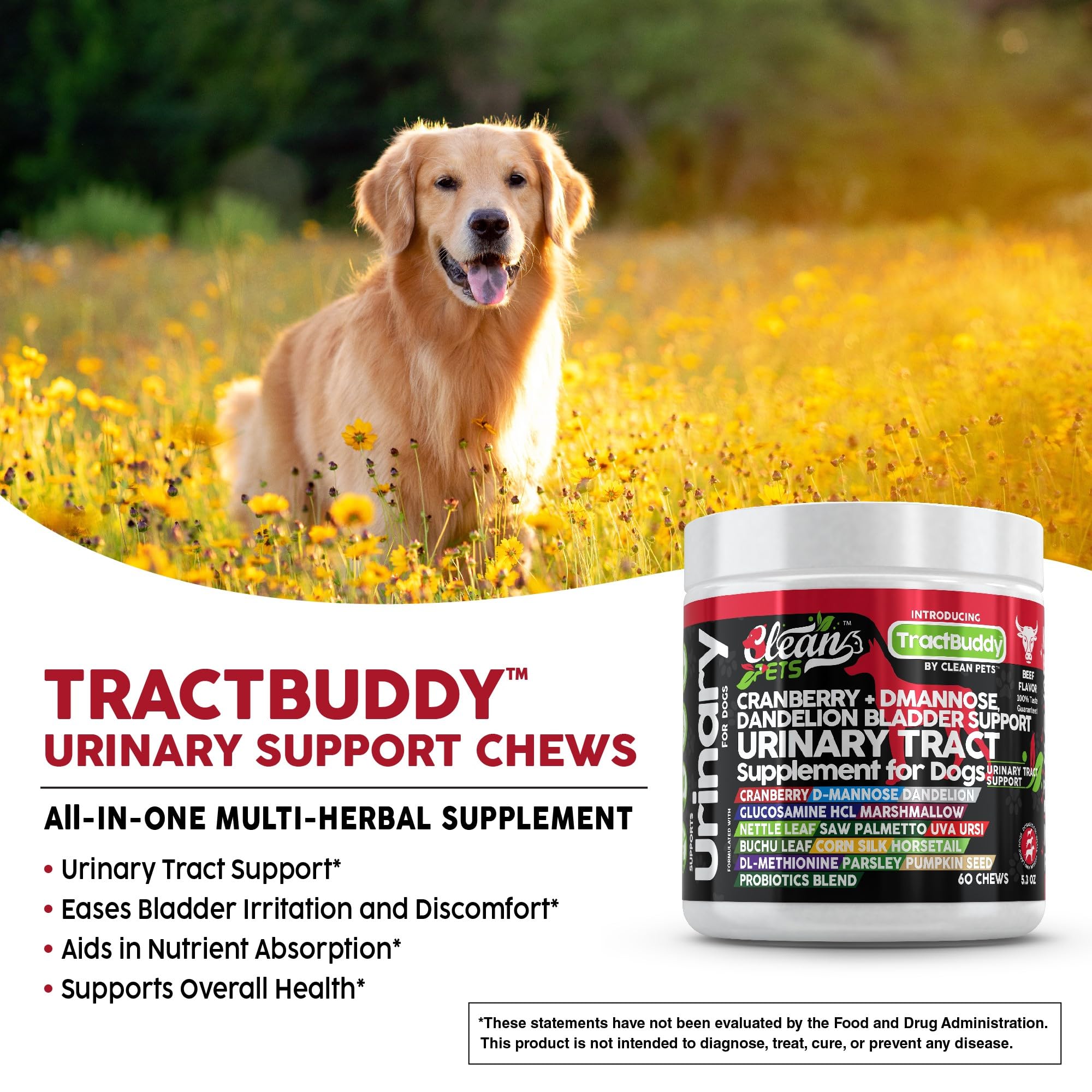 Clean Pets probiotic-soft-chews-dogs image showcases gut-friendly probiotic blend.