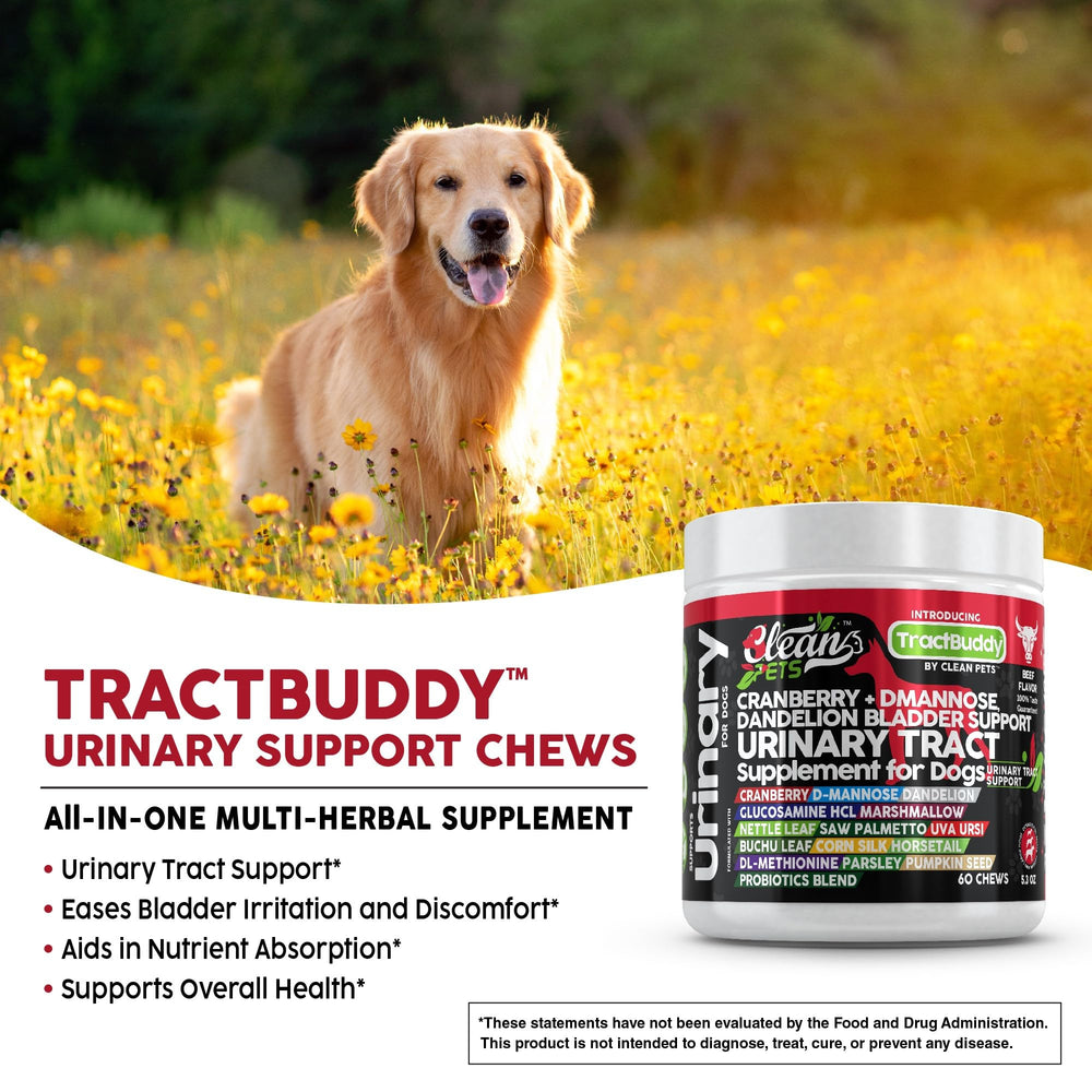 Clean Pets probiotic-soft-chews-dogs image showcases gut-friendly probiotic blend.