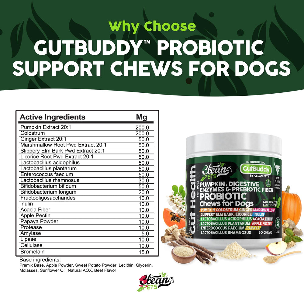 Clean Pets probiotics for dogs beef soft chews dog sniffing the treat signals digestive aid.