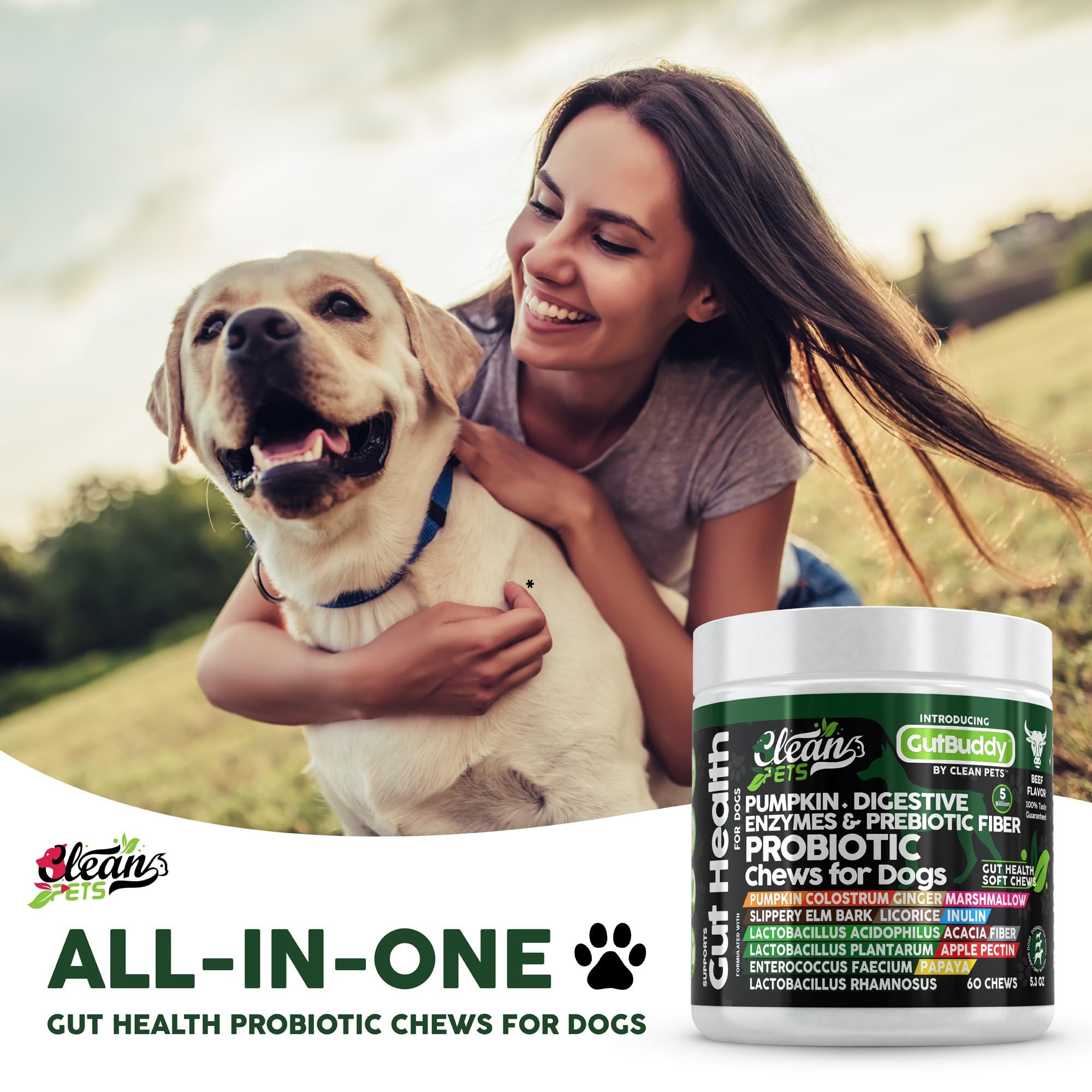 Clean Pets probiotics for dogs beef soft chews ingredients scatter featuring pumpkin and slippery elm.