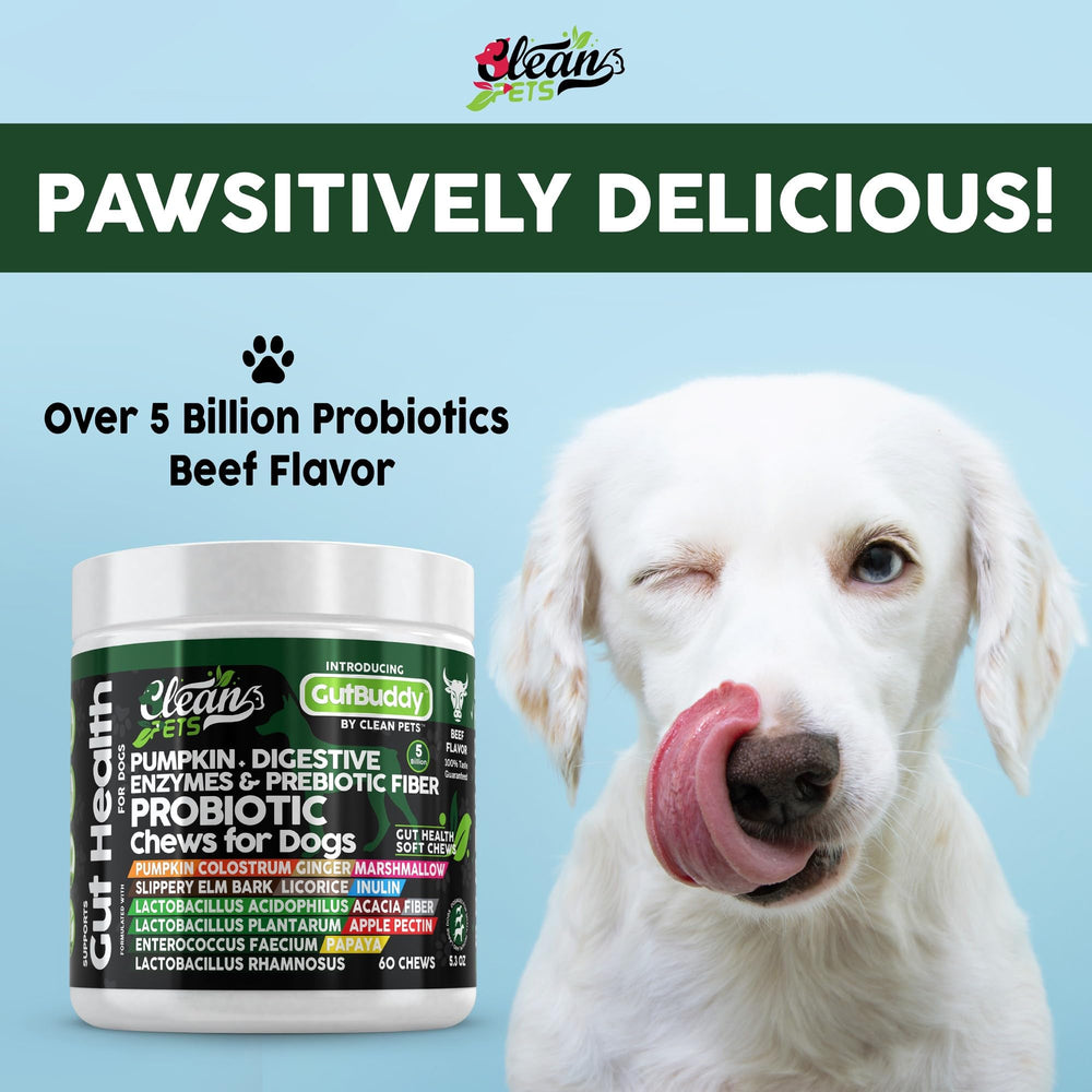 Clean Pets probiotics for dogs beef soft chews pouring from bottle demonstrates convenient daily use.