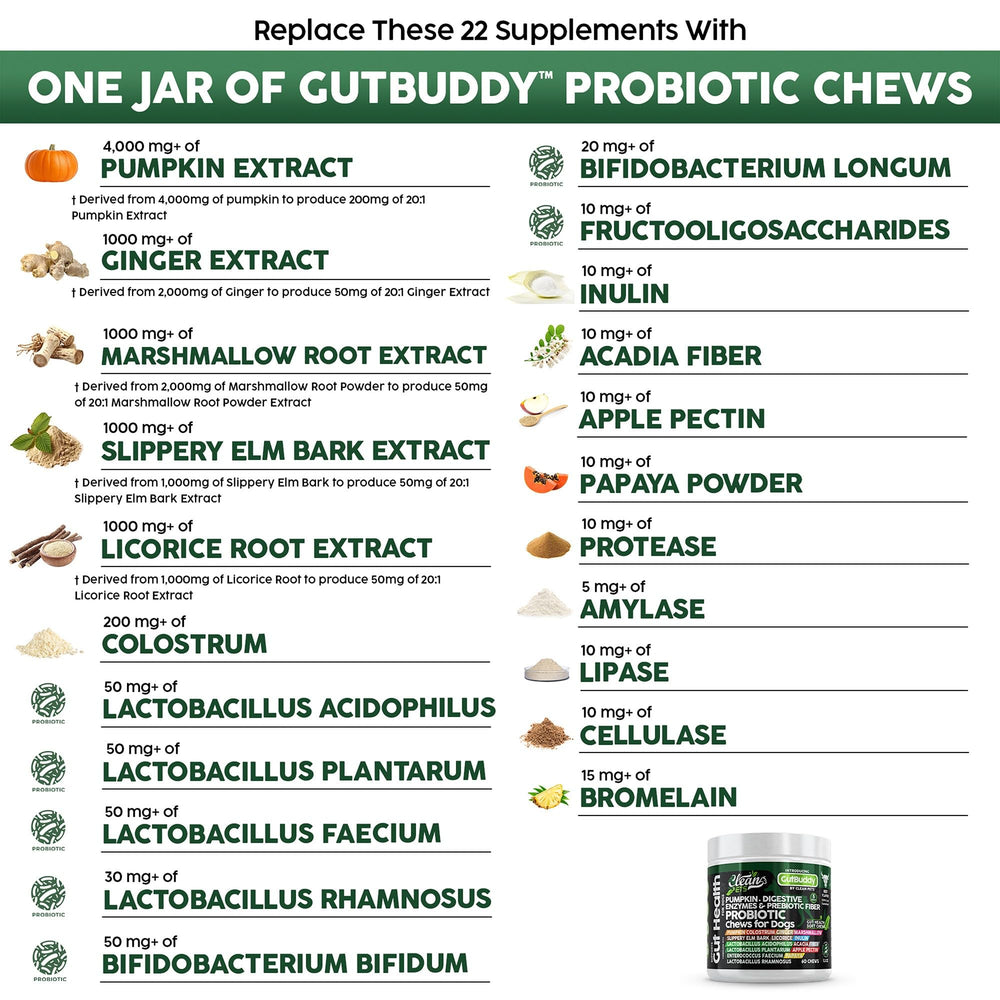 Clean Pets probiotics for dogs beef soft chews serving bowl scene highlights gut health support.