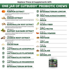 Clean Pets probiotics for dogs beef soft chews serving bowl scene highlights gut health support.