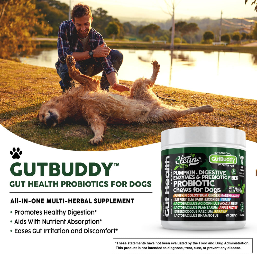 Clean Pets probiotics for dogs beef soft chews texture closeup emphasizes beef flavor appeal.