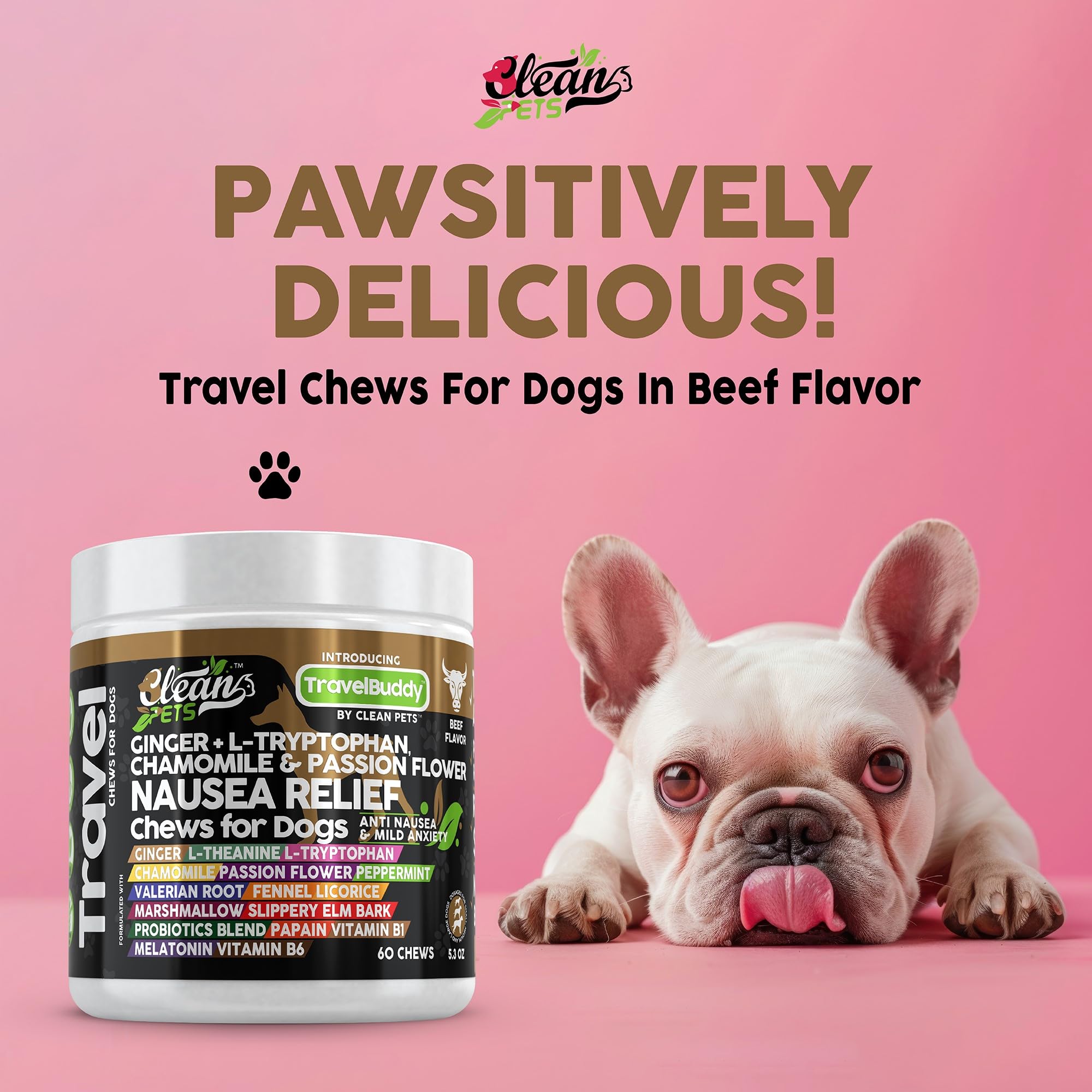Clean Pets Travel Chews probiotic-digestive support for smoother travel gut health