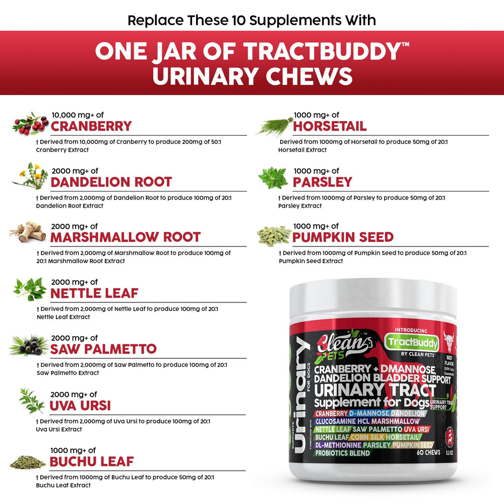 Clean Pets uva-ursi-dogs-urinary-health image emphasizes natural bladder support.