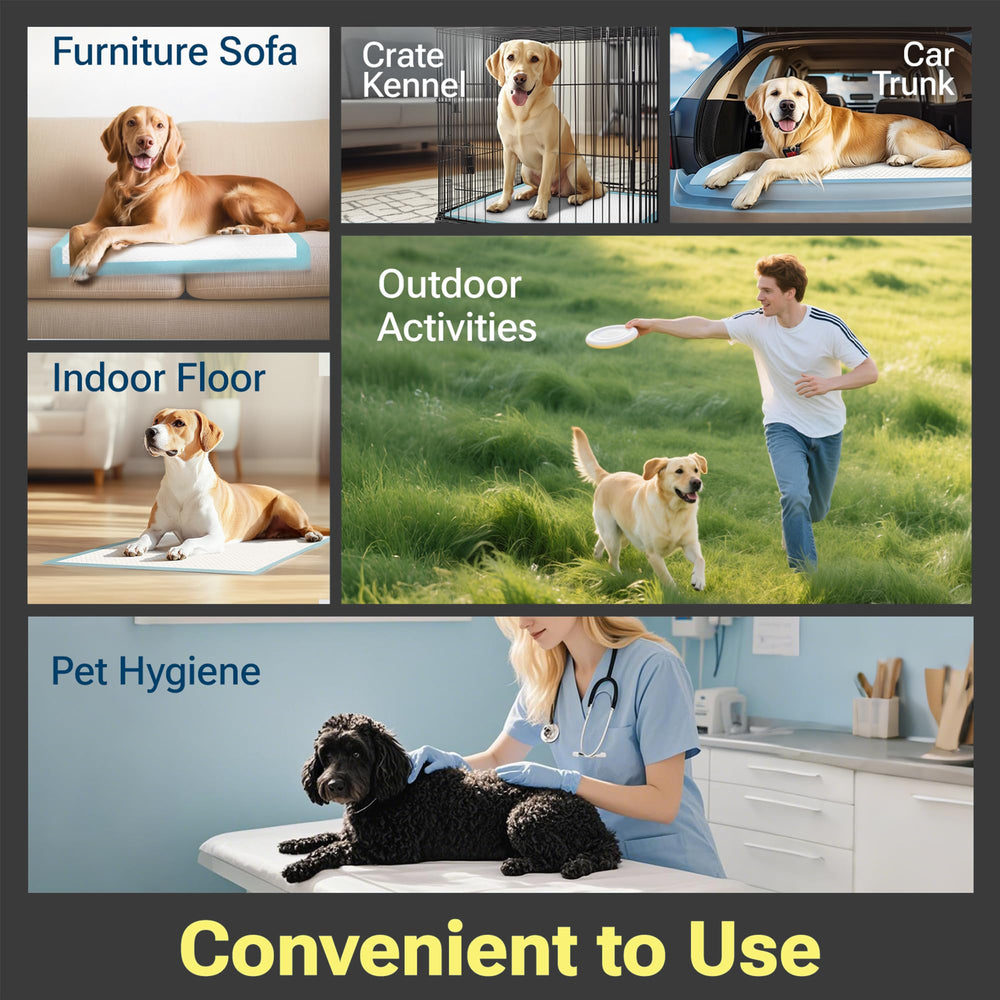 CLEAN SPACES Charcoal Puppy Pads ultra-absorbent core demonstrating fast absorption