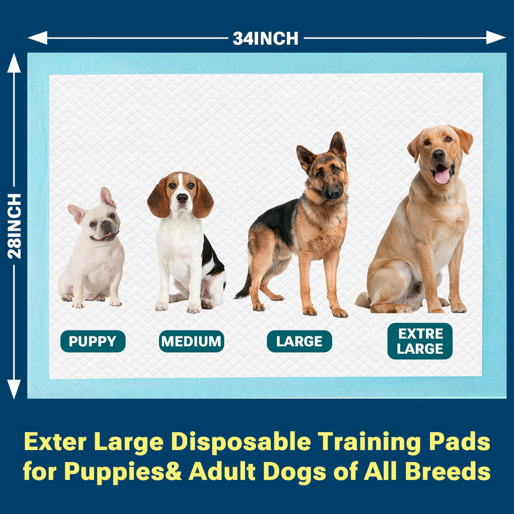 Cross-section of Clean Spaces six-layer design for moisture lock