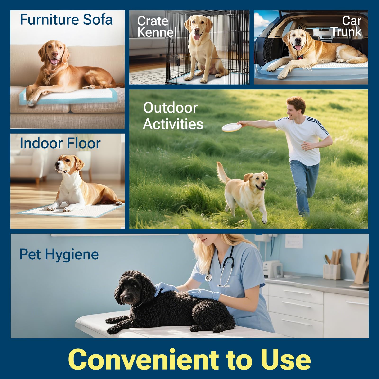 Clean Spaces pad protecting floors and furniture during training