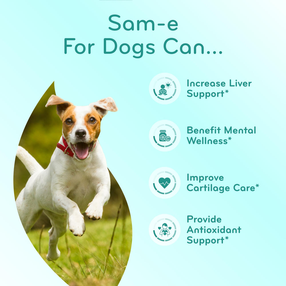 Clear Formulas allergen-free dog SAM-e labeling emphasizes clean ingredients.