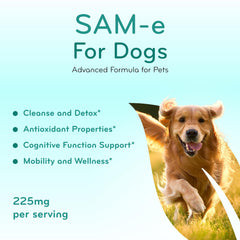 Clear Formulas SAM-e dog tablets support mood and brain functions during daily care.