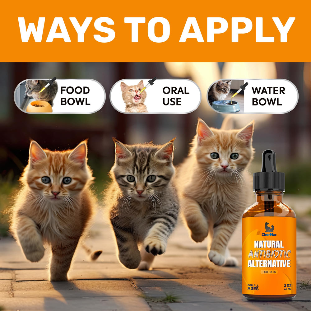 Clear Max Cat cranberry visual highlighting digestive support concept.