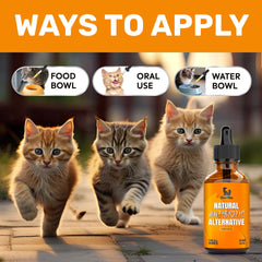 Clear Max Cat cranberry visual highlighting digestive support concept.