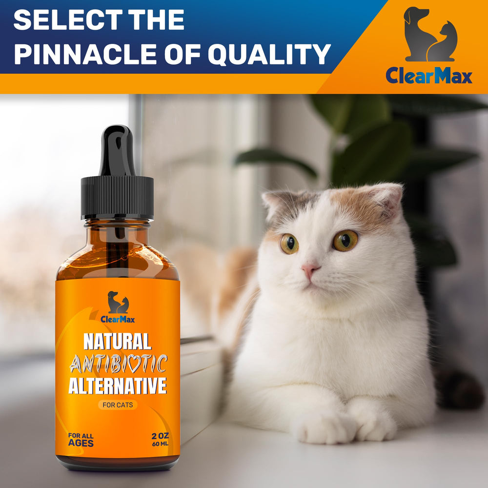Clear Max Cat digestive moments scene depicting mealtime with added comfort.