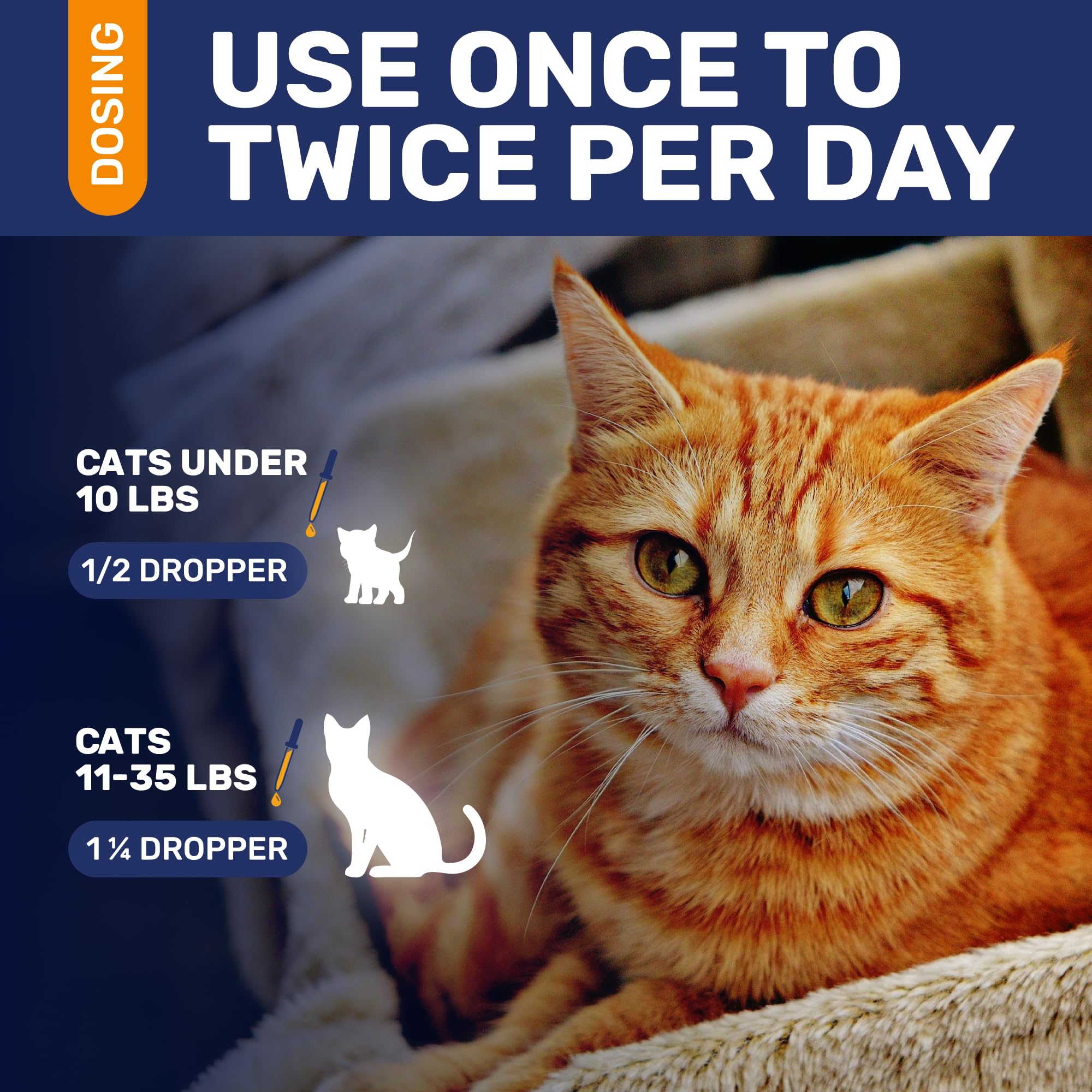 Clear Max cat hips and joints support with turkey flavor on label.