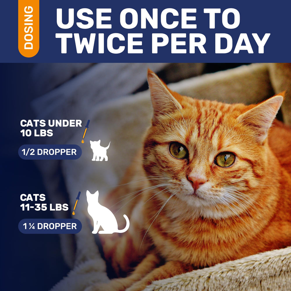 Clear Max cat hips and joints support with turkey flavor on label.