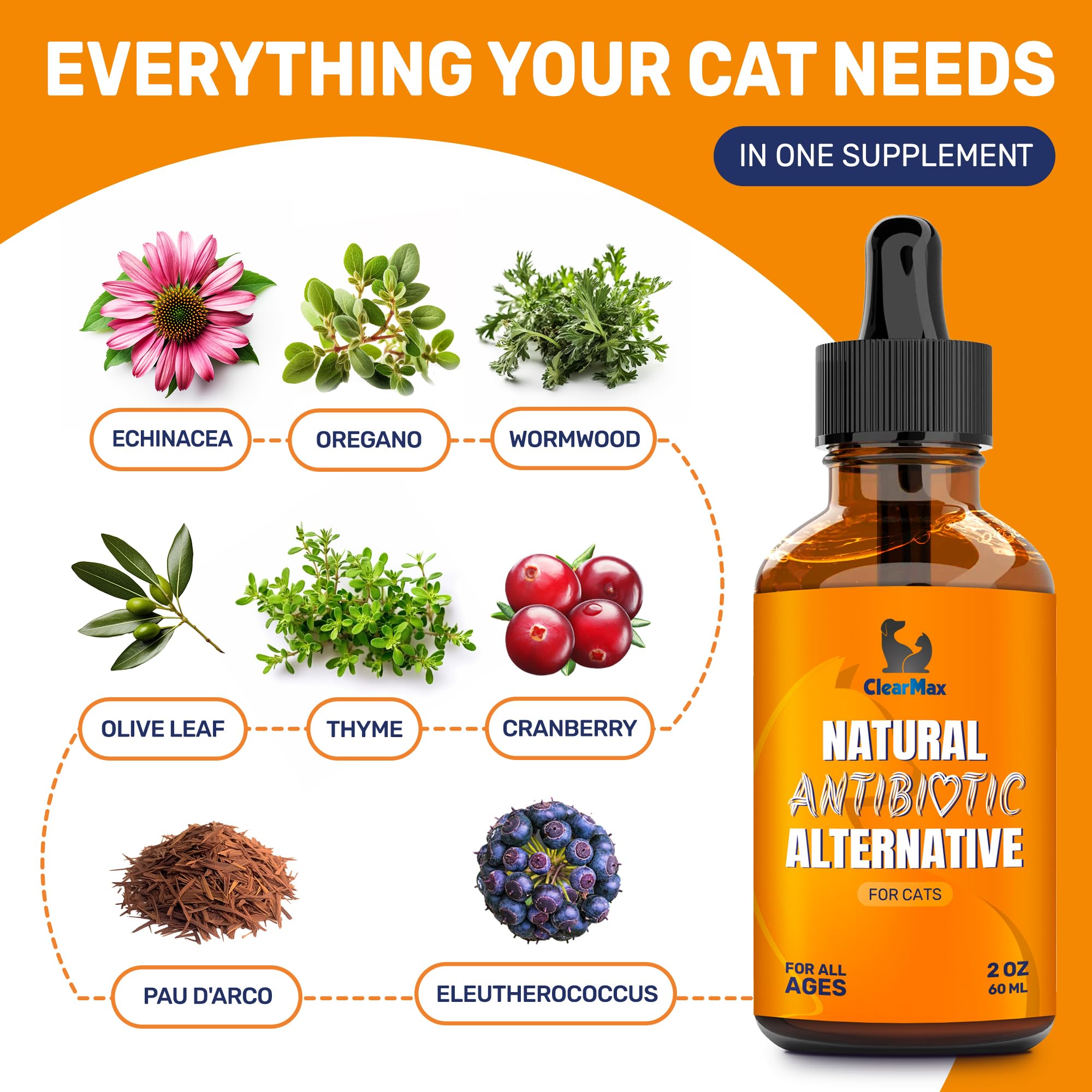 Clear Max Cat liquid drops being drawn for simple dosing and administration.