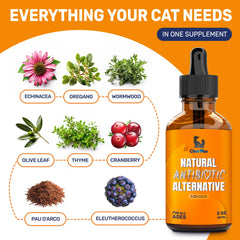Clear Max Cat liquid drops being drawn for simple dosing and administration.