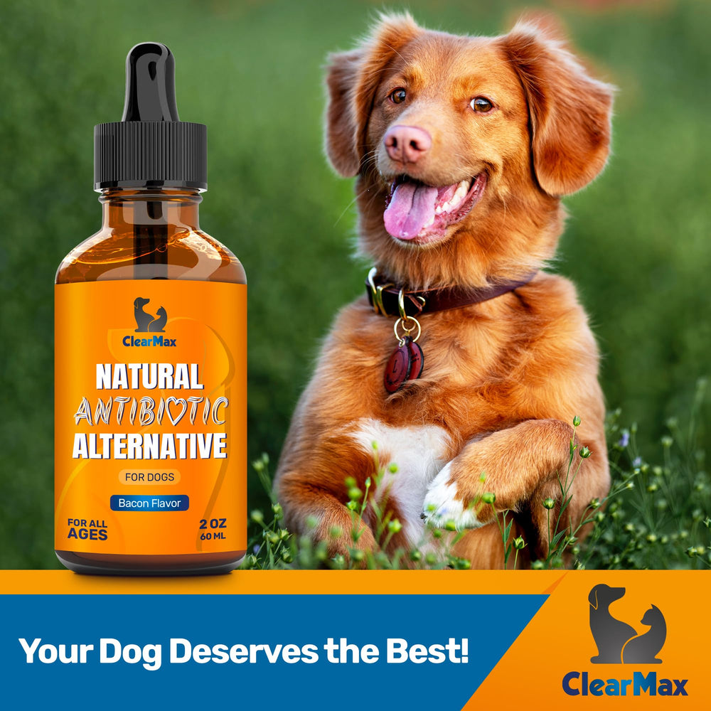 Clear Max dog antibiotics 2 oz bottle shown for travel use