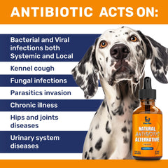 Clear Max dog antibiotics bacon-flavor pour highlights tasty delivery