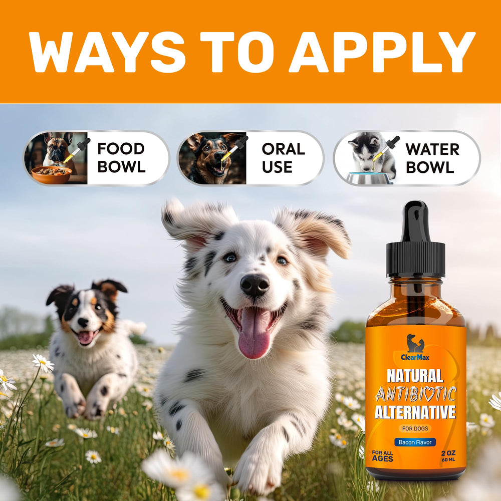 Clear Max dog antibiotics easy-dosing with meals or direct administration