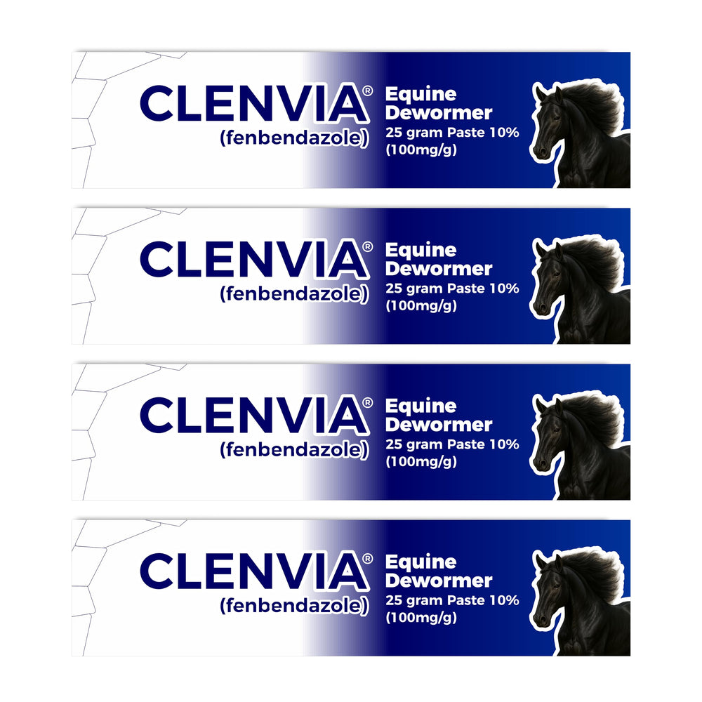CLENVIA horse paste 25g syringe front view with clear weight markings for accurate dosing