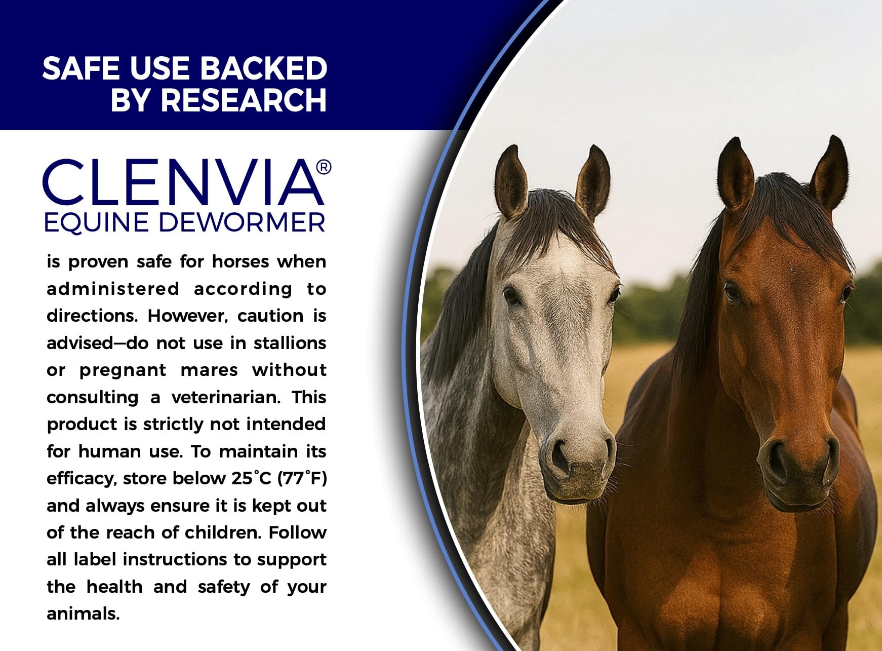 CLENVIA paste for foal usage image highlights suitability for foals and mature horses