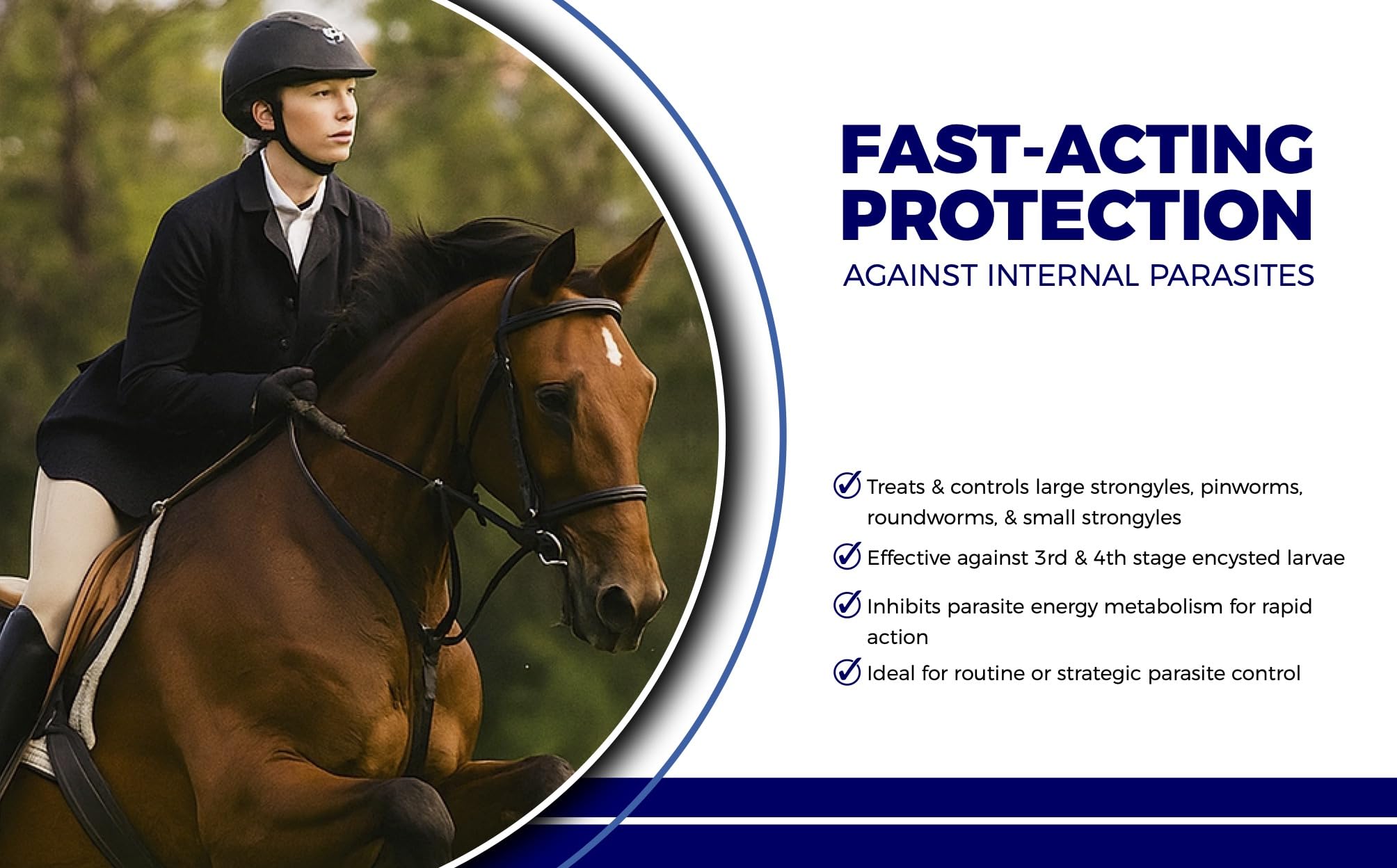 CLENVIA horse dewormer paste application syringe shows easy oral administration for all ages