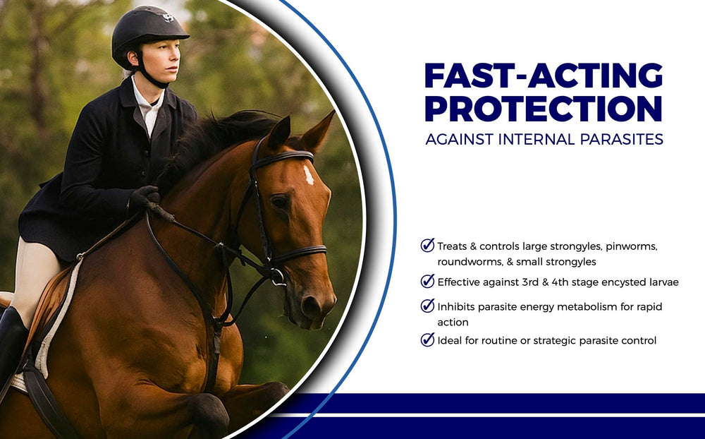 CLENVIA horse dewormer paste application syringe shows easy oral administration for all ages