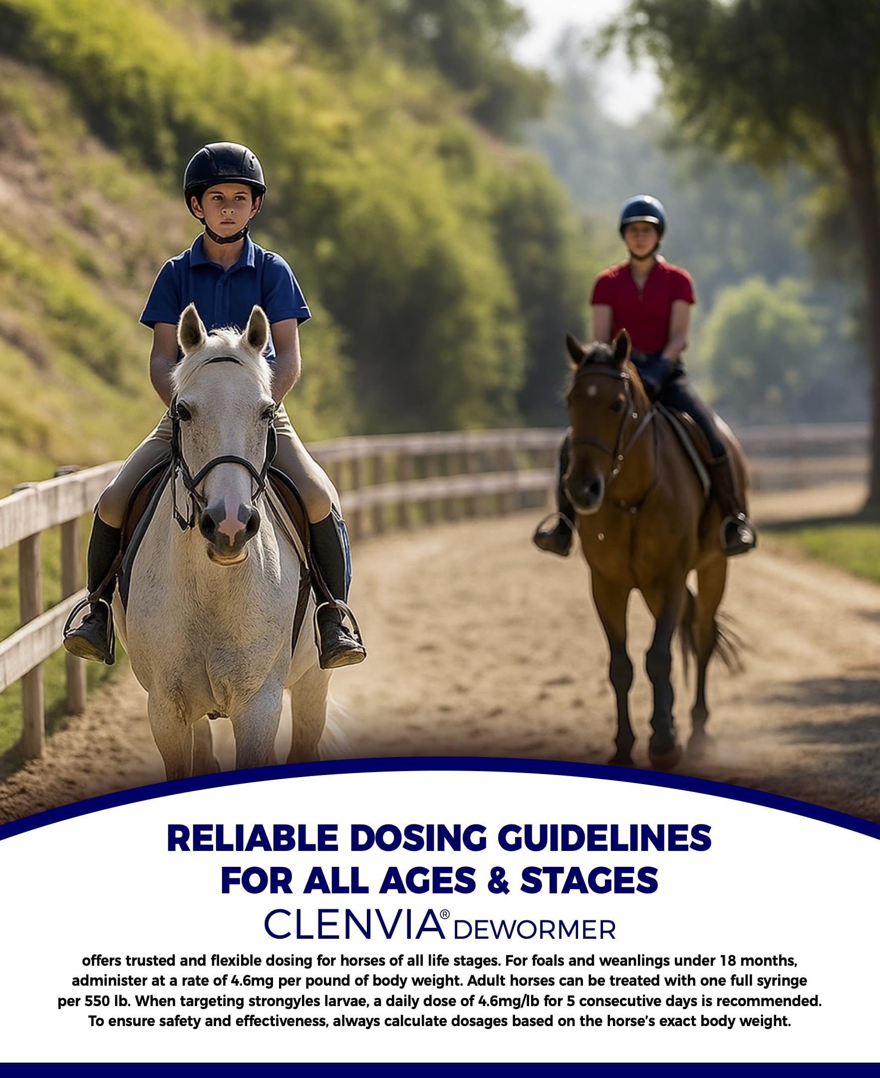 CLENVIA 25g syringes arranged for easy storage and reliable monthly or seasonal deworming