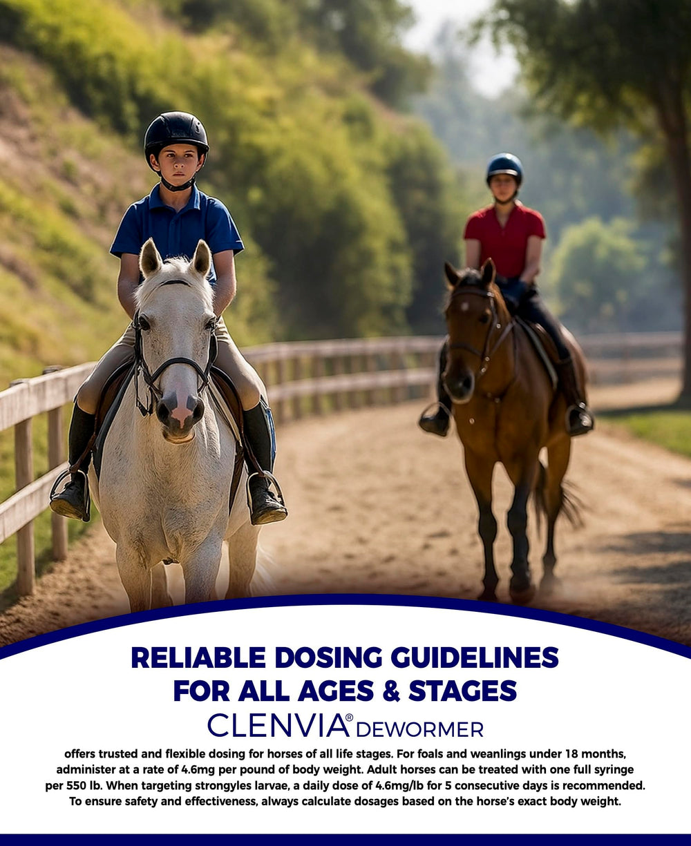 CLENVIA 25g syringes arranged for easy storage and reliable monthly or seasonal deworming