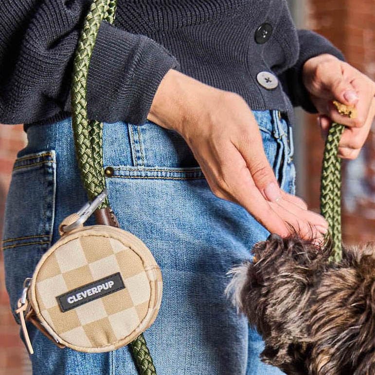 Cleverpup Snackpack carabiner attachment secures to leash, belt, or bag for secure walks