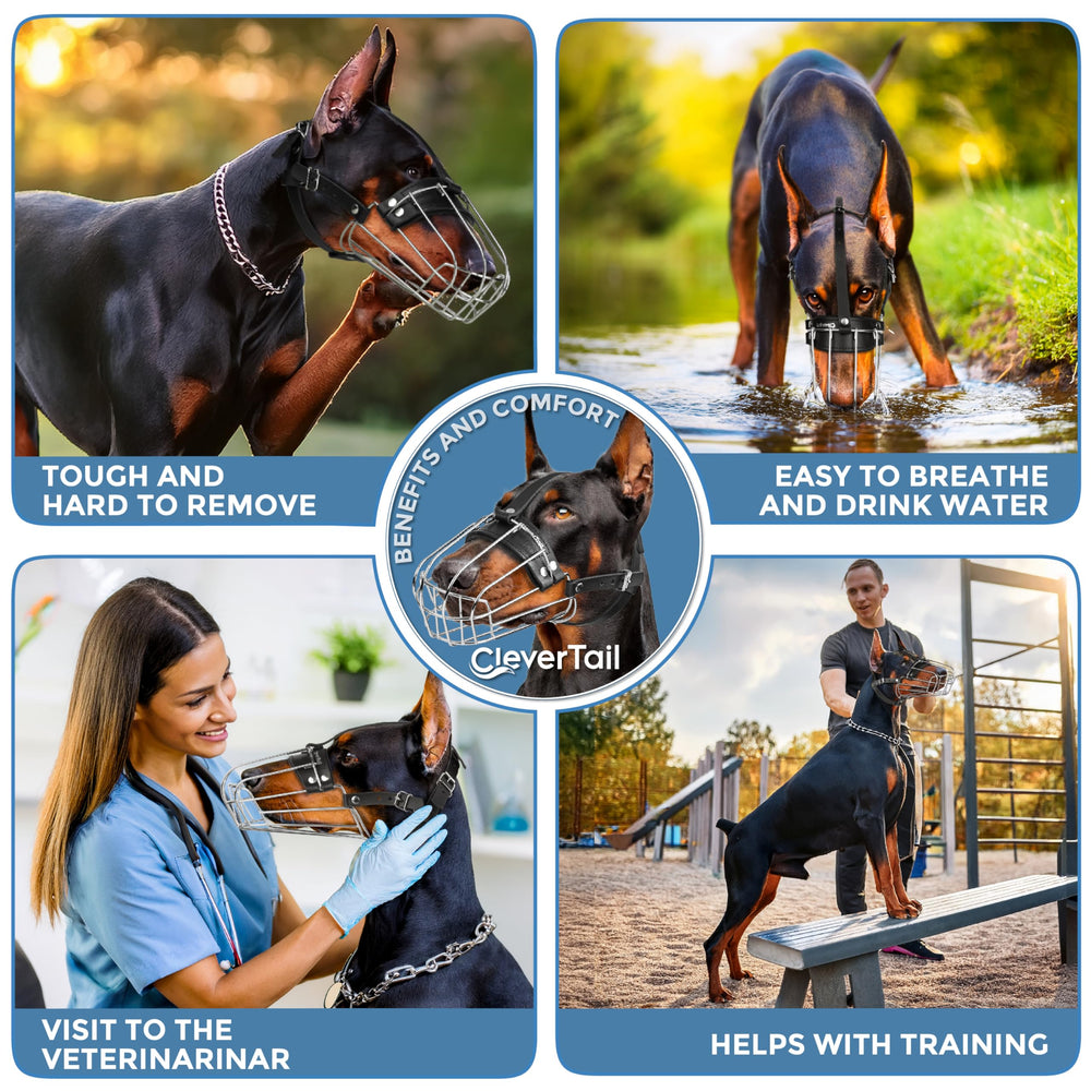 CleverTail adjustable leather straps provide secure, customizable fit for large dogs