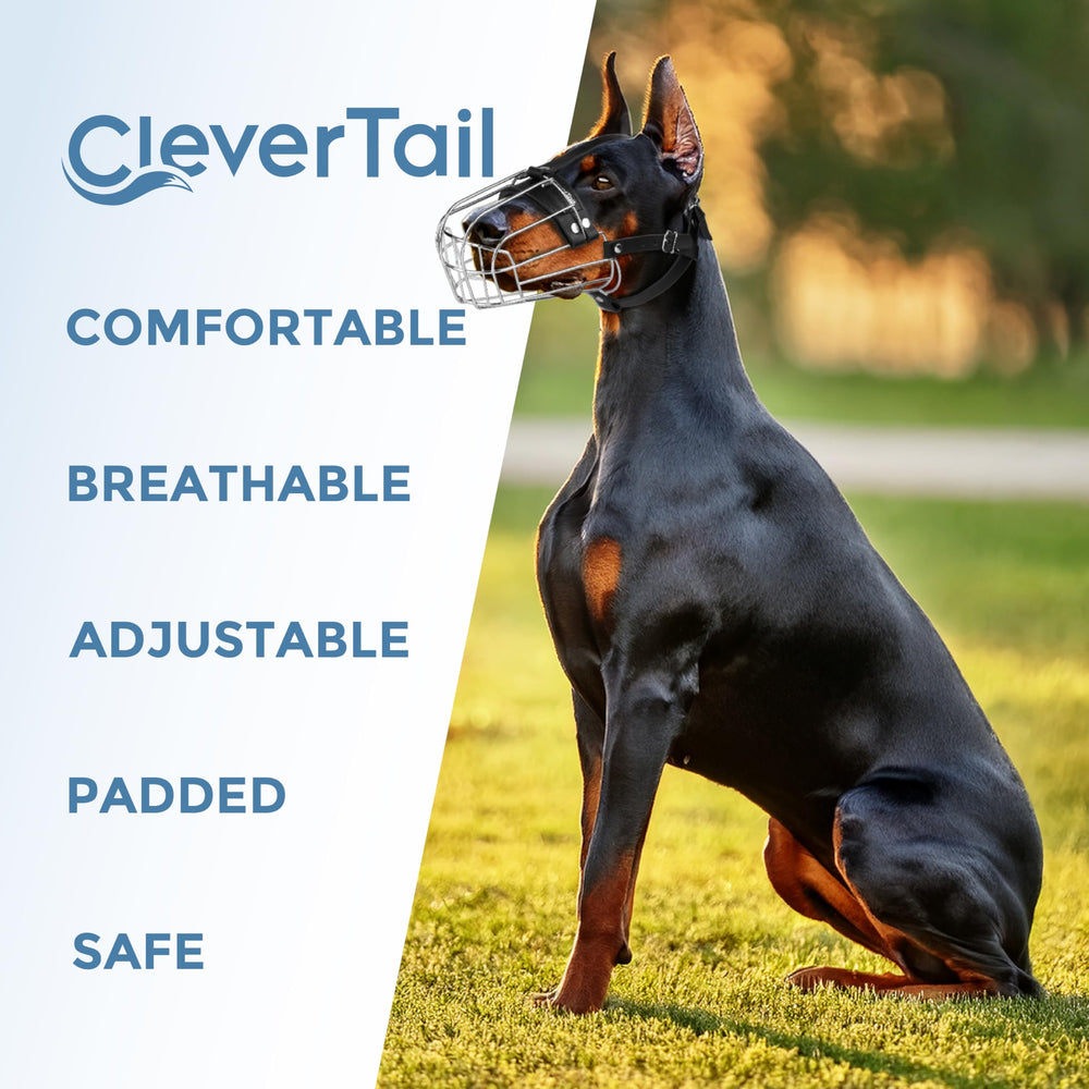 CleverTail muzzle compatible with medium and large breeds like Doberman and Malinois