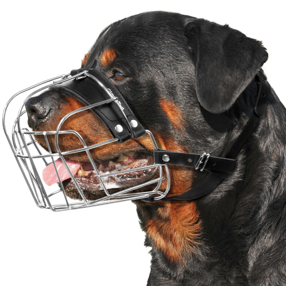 CleverTail dog metal muzzle large basket front view for safer walks with big breeds