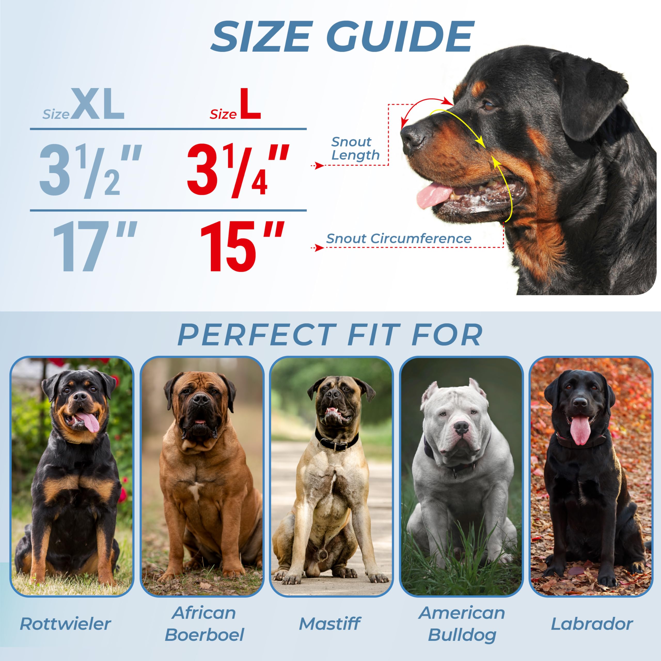 CleverTail safe materials combine leather and steel for durable, comfortable protection