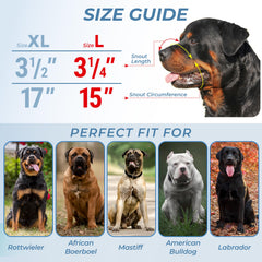 CleverTail safe materials combine leather and steel for durable, comfortable protection
