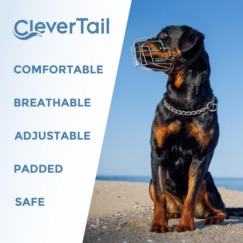 CleverTail use-case visuals cover vet visits, grooming, and bite-prevention scenarios